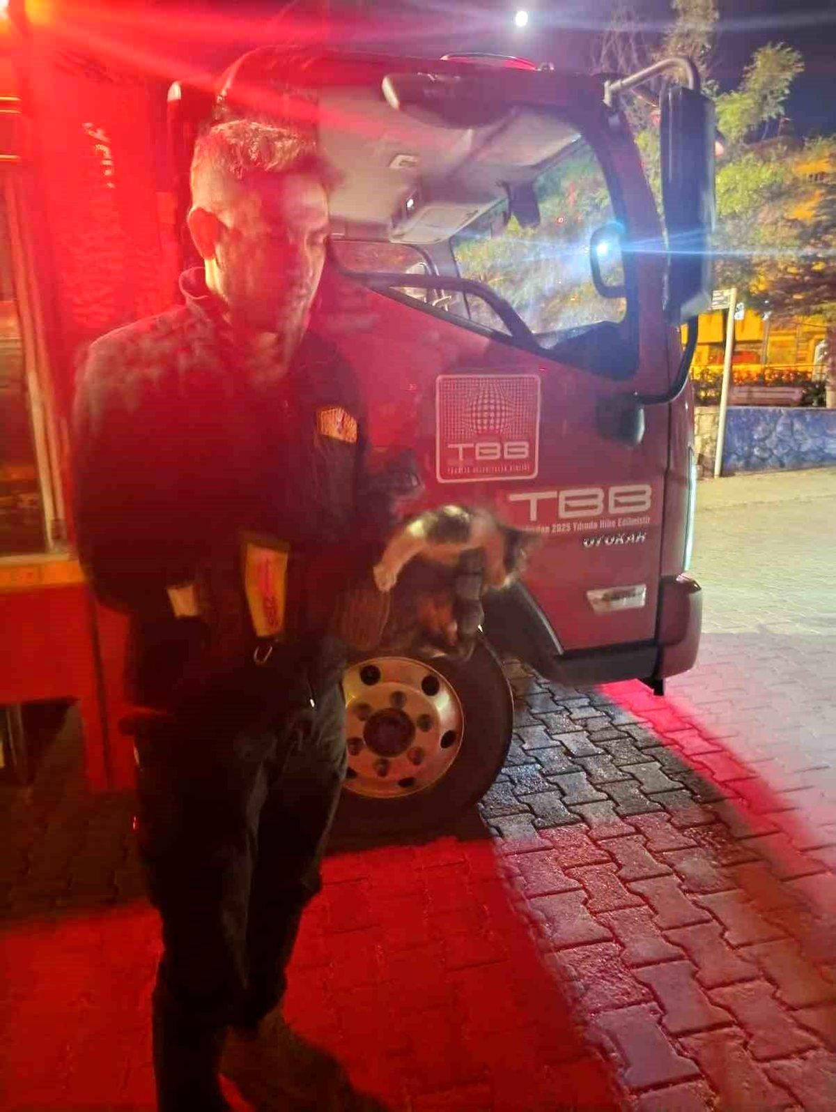 Aracın Motorundan Kedi Kurtarıldı