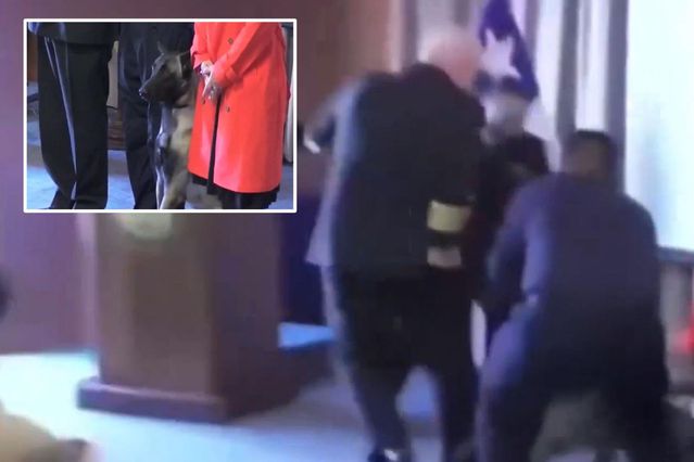 Narkotik köpeği mezuniyet töreninde tümamirale saldırdı, 