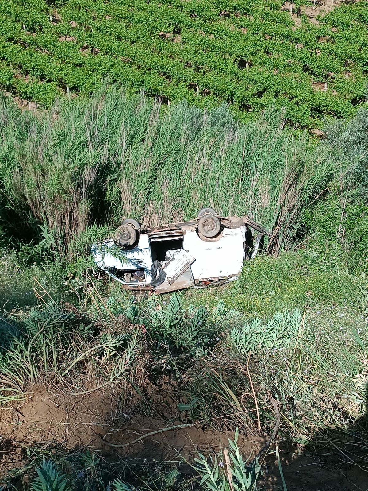 Manisa\'da hafif ticari araç uçuruma yuvarlandı: 1 ölü