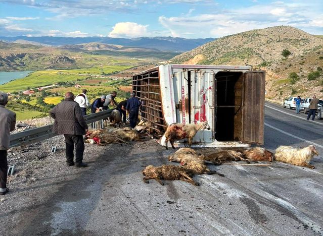 İliç'te Hayvan Taşıyan Kamyon Kaza Yaptı