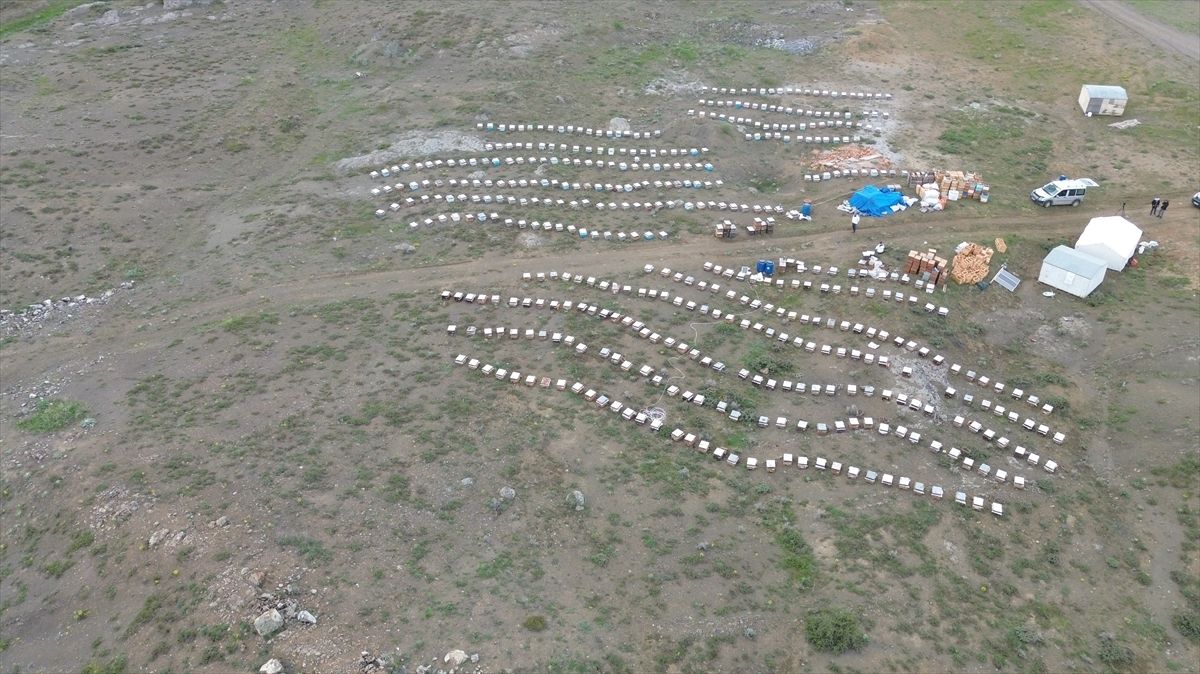 Yozgat\'ta Gezginci Arıcılık Sezonu Başladı