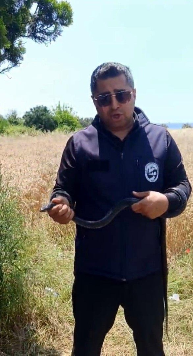 Yılancı Kemal Karayılanı Yakaladı