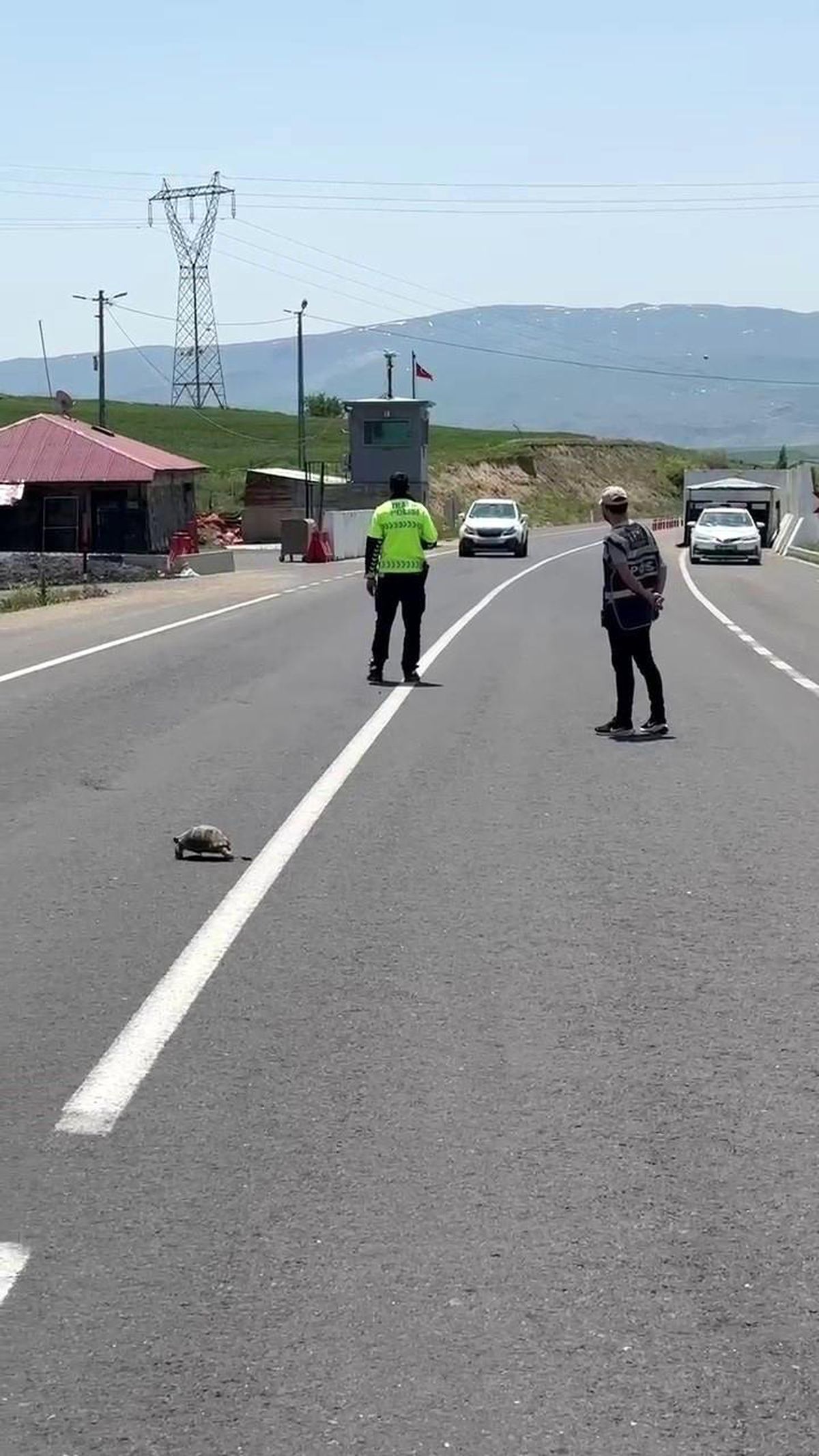 Kaplumbağaya Duyarlı Trafik Polisi