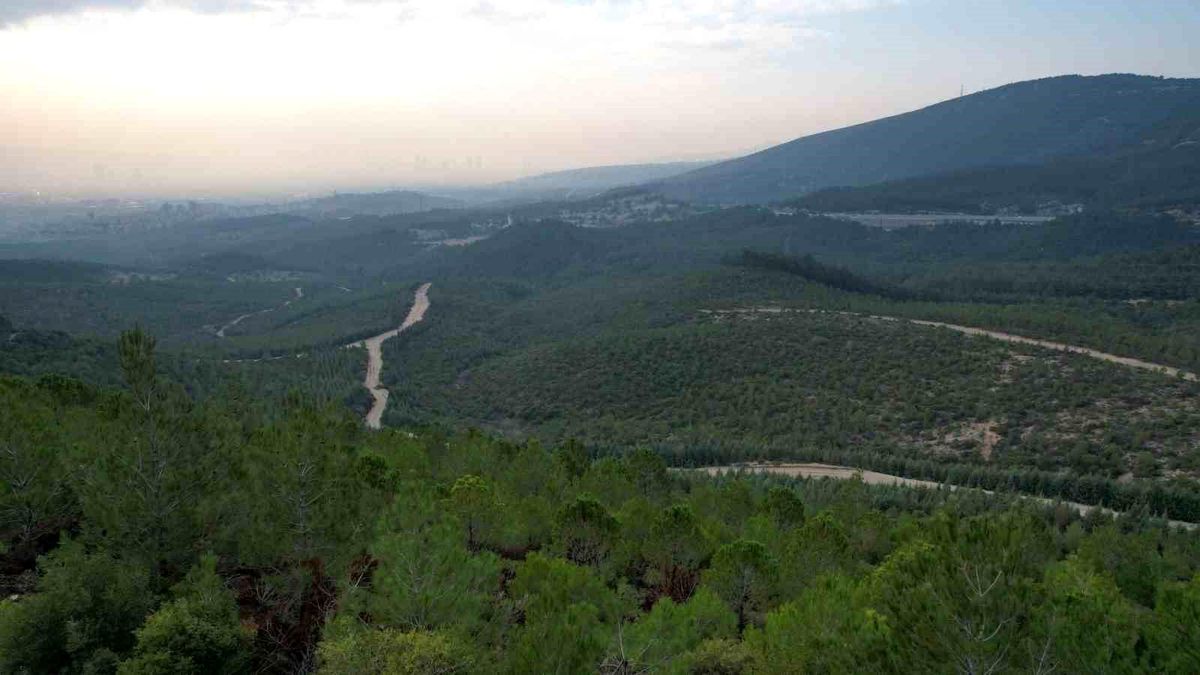 İzmir\'de Ormanlara Giriş Yasağı