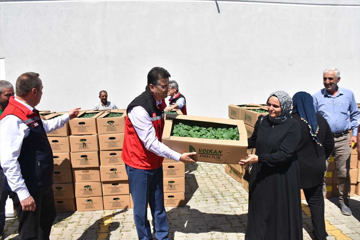 Şarköy\'de Üreticilere Hibeli Fide Dağıtımı