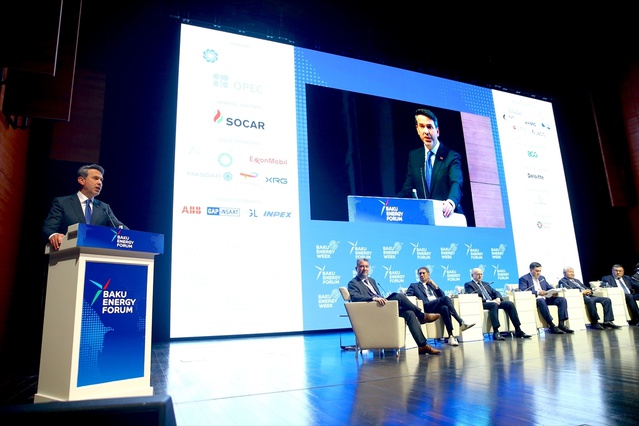 Türkiye, Yenilenebilir Enerji Alanda İşbirliğine Açık