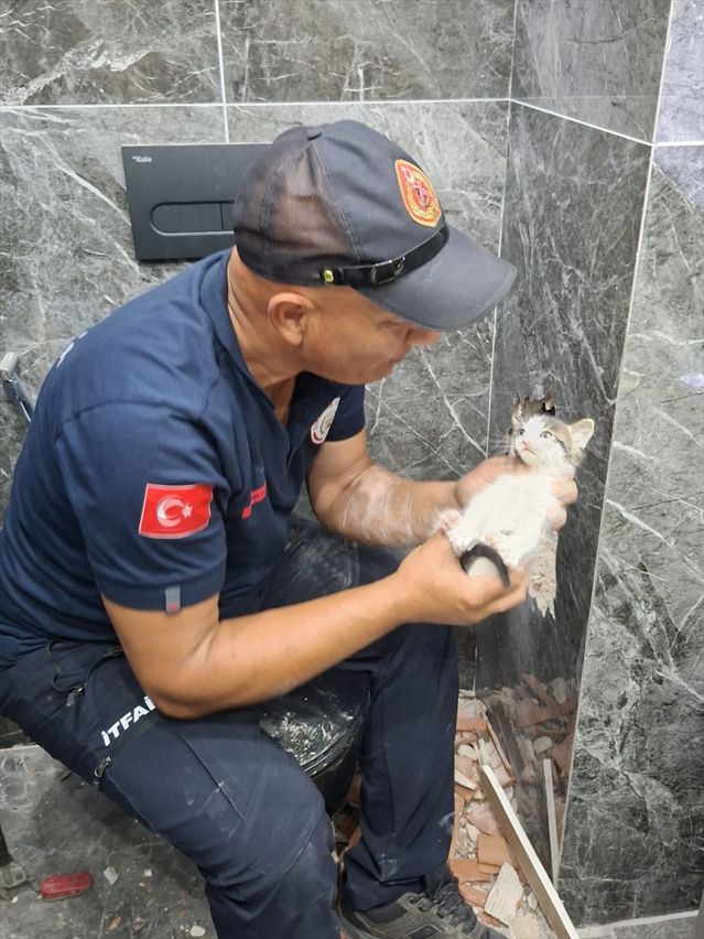 Çınarcık'ta Sıkışan Kedi Yavrusu Kurtarıldı