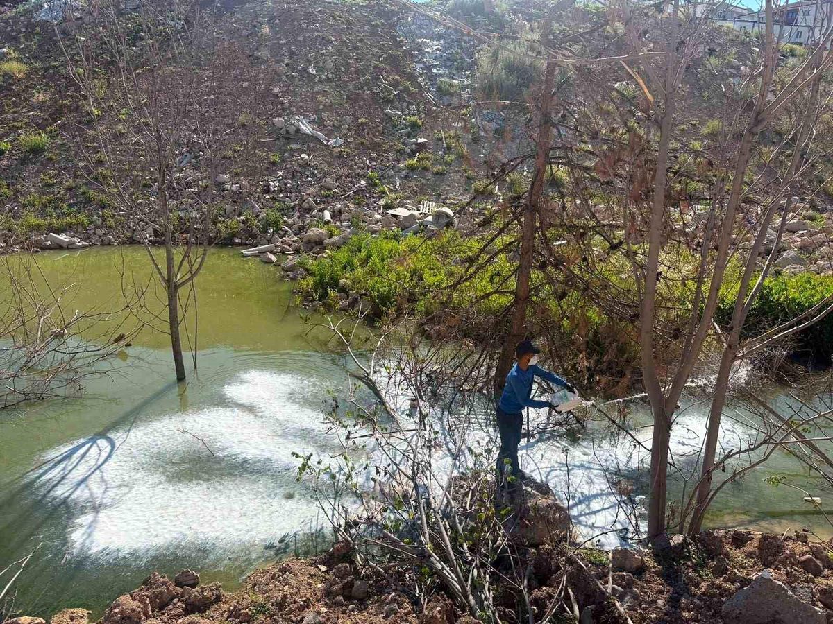Adıyaman\'da sivrisinek ve haşerelere karşı ilaçlama çalışması