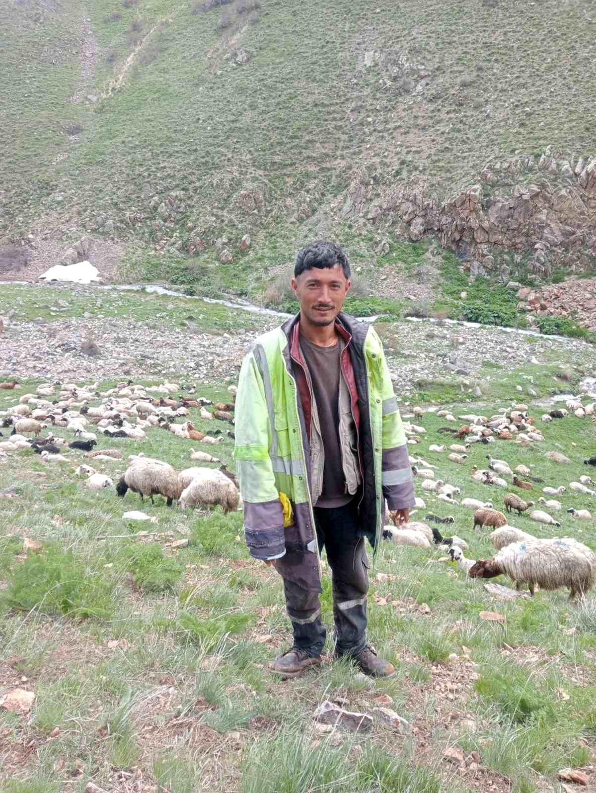 Ağrı\'da Çoban Cinayeti: Zanlı Yakalandı