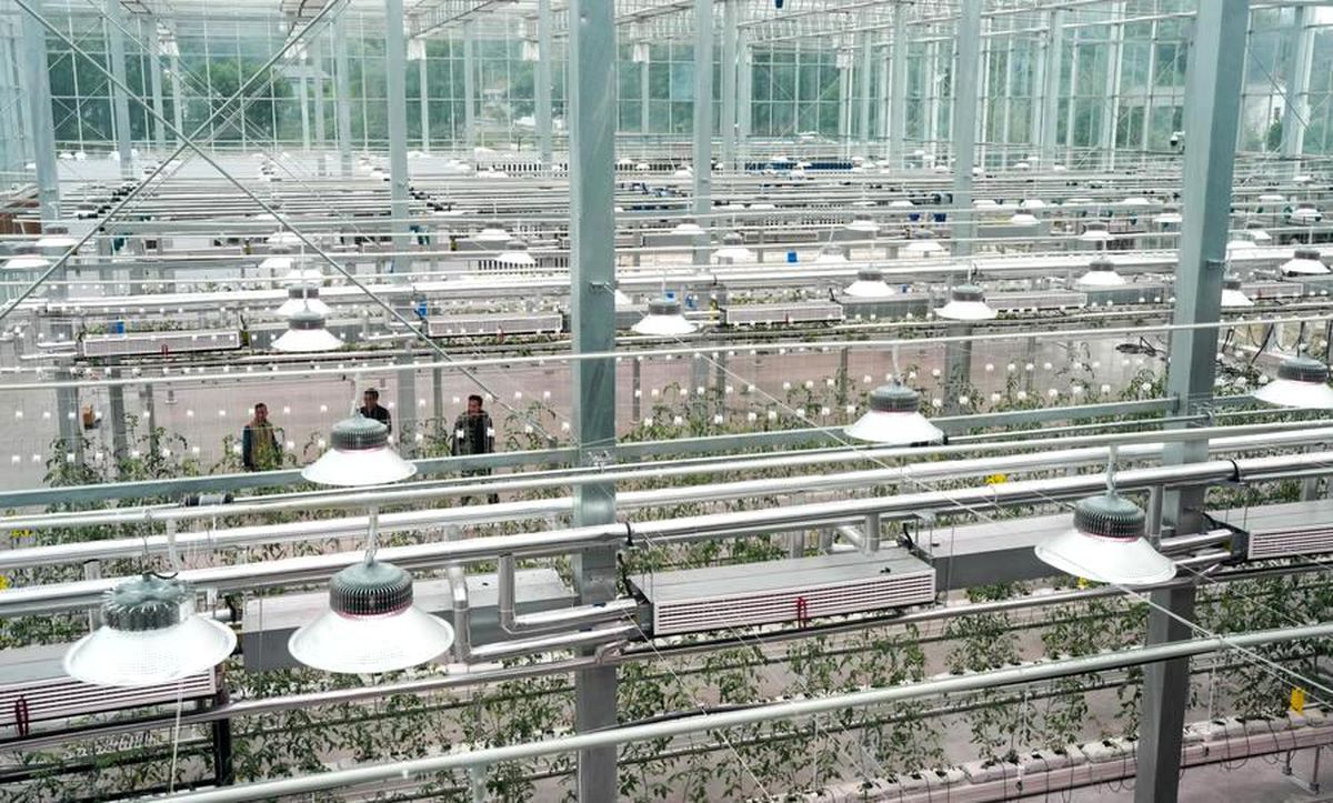 Çin\'den Tarımda Modernleşme Planı