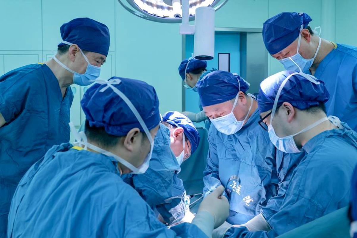 Çin\'den Ksenotransplantasyon ile Tarihi Nakil
