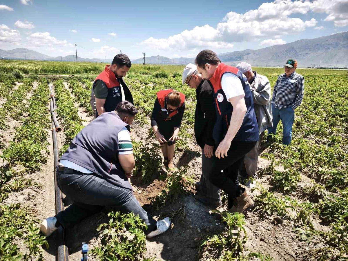 Dinar\'da Dolu Sonrası Hasar Tespiti