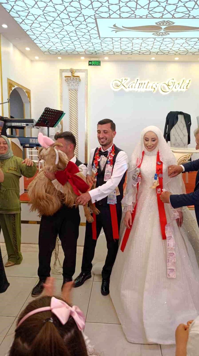 Düğünde Takı Yerine Keçi Hediye Edildi