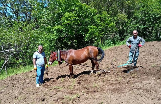 Hizan'da Geleneksel Tarım Uygulamaları
