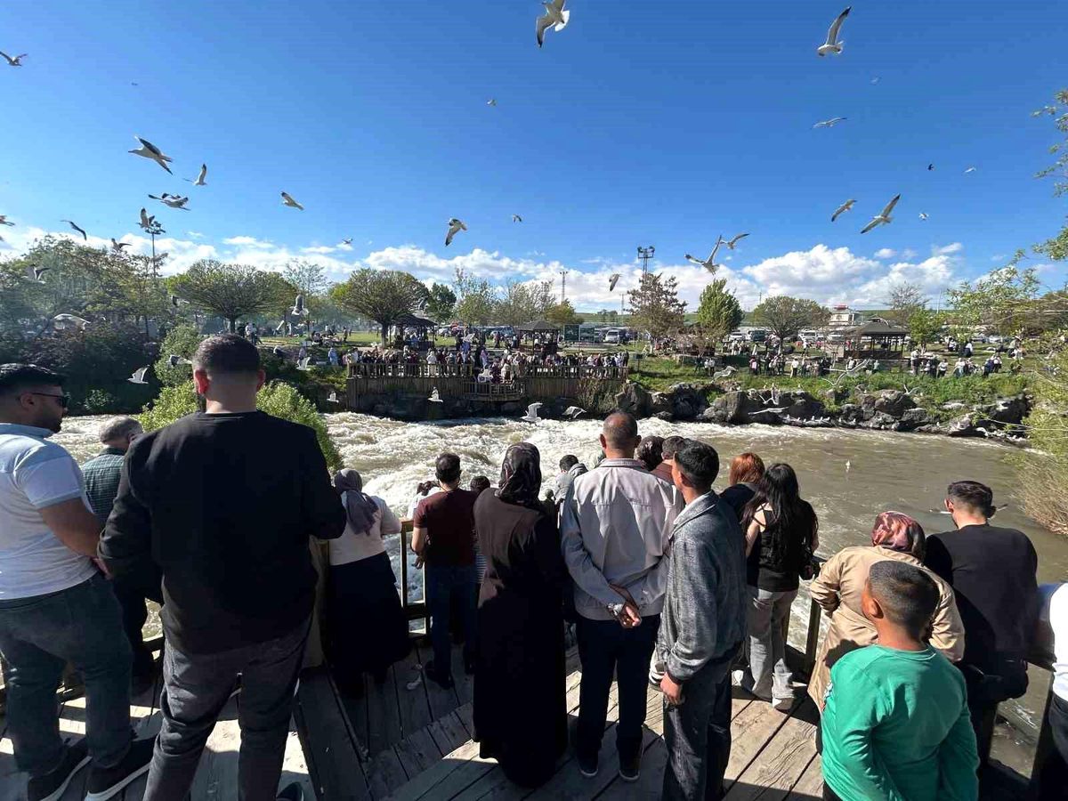 İnci Kefali Göçü Turistleri Ceziyor