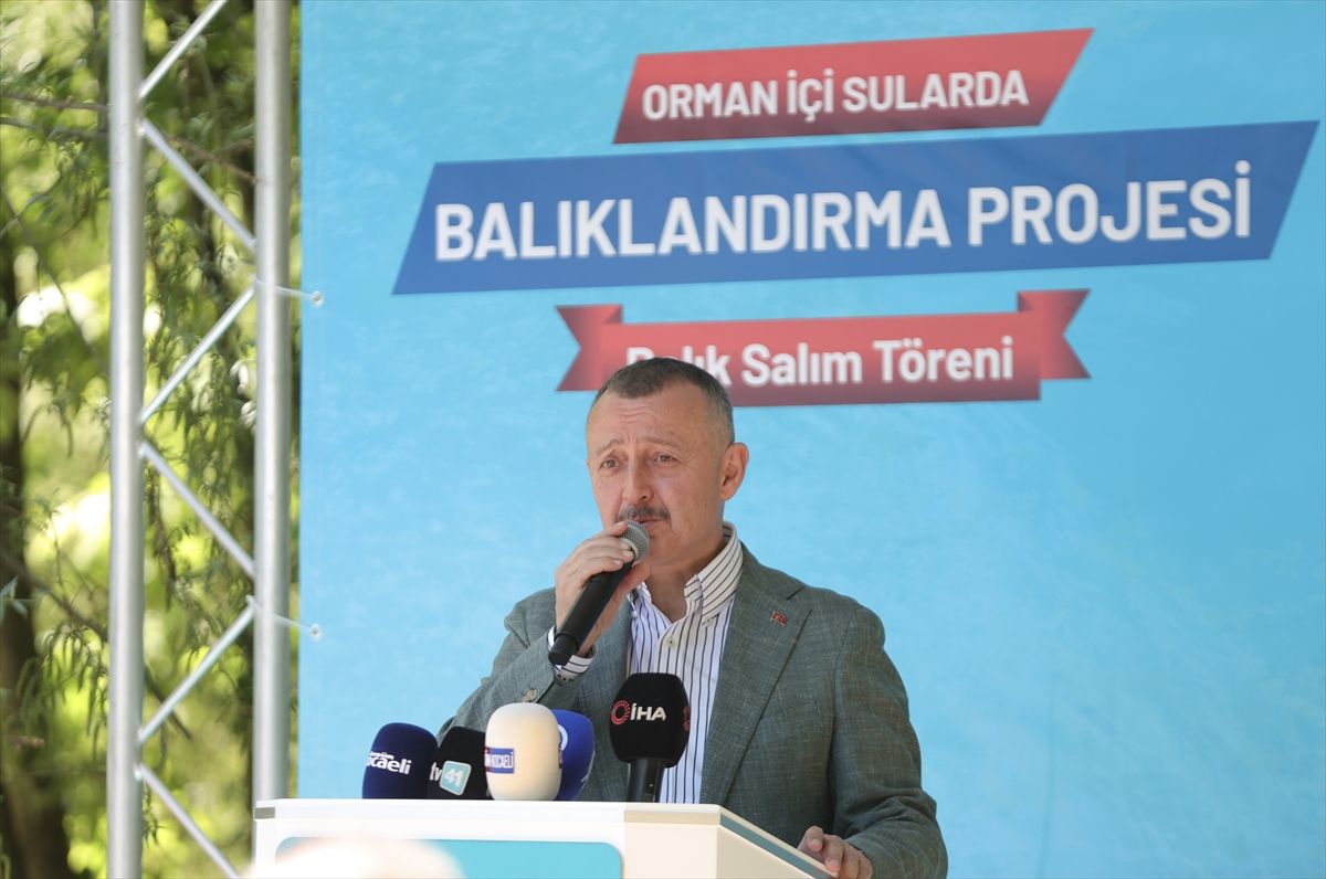 Kocaeli\'ye 50 Bin Alabalık yavrusu bırakıldı