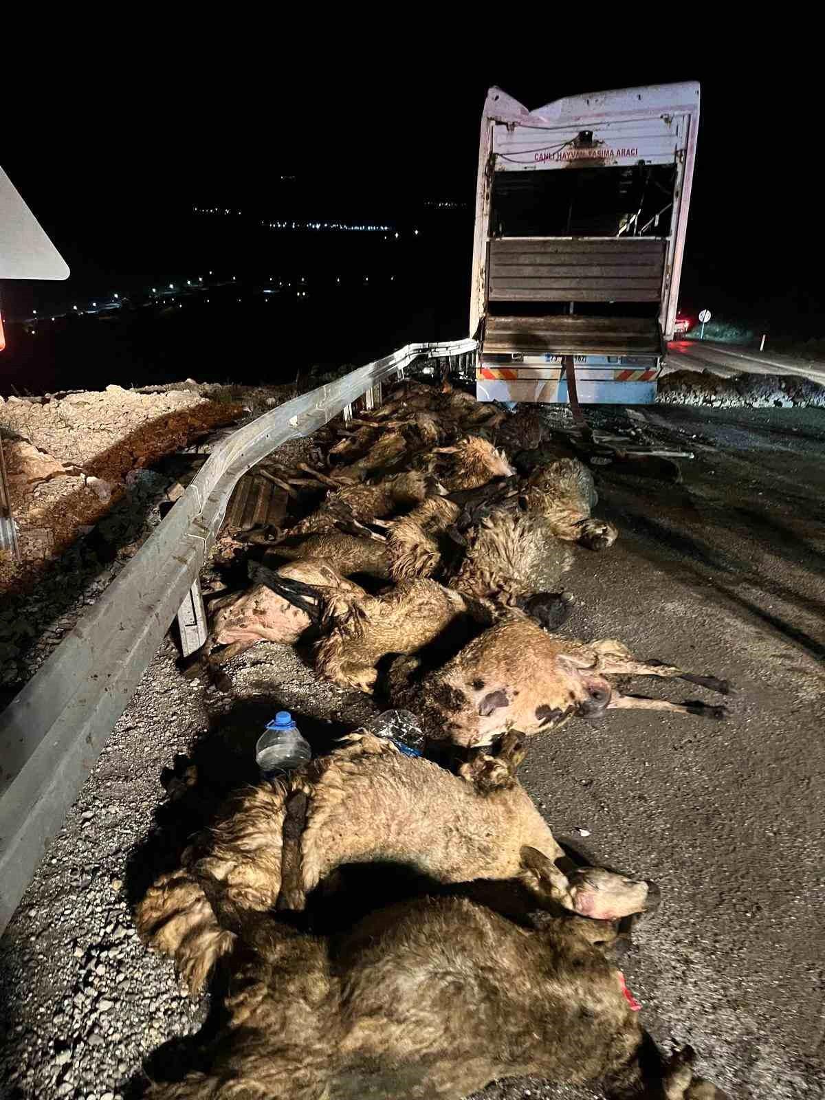 Erzincan\'da Tır Kazası: 60 Koyun Telef Oldu