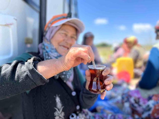 Karacabey'de İşçilerin Motivasyonu: Odun Ateşi Çayı