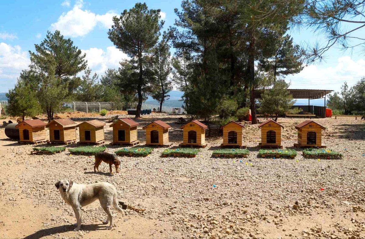 Uşak Belediyesi Başkan Vekili Özkan\'dan hayvan bakımevine ziyaret