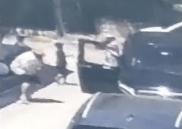 Çeşme'de Koruma Cinayeti: Can Polat Öldürüldü