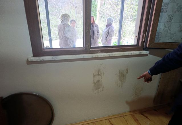 Giresun'da Ayılara Müdahale Kararı