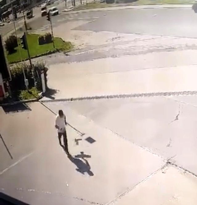 Elazığ'da Karga Saldırısı Panik Yarattı