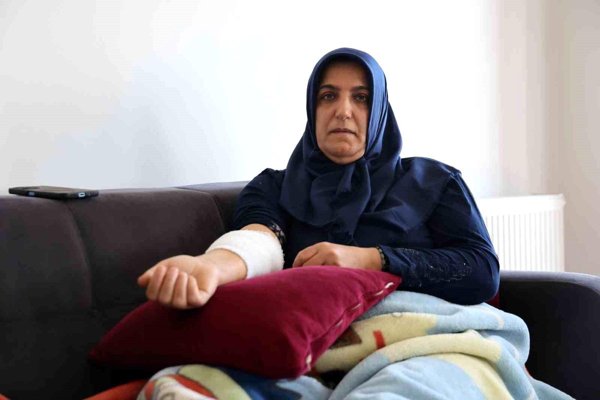 Elazığ\'da Köpek Saldırısı: Bir Kadın Yaralandı