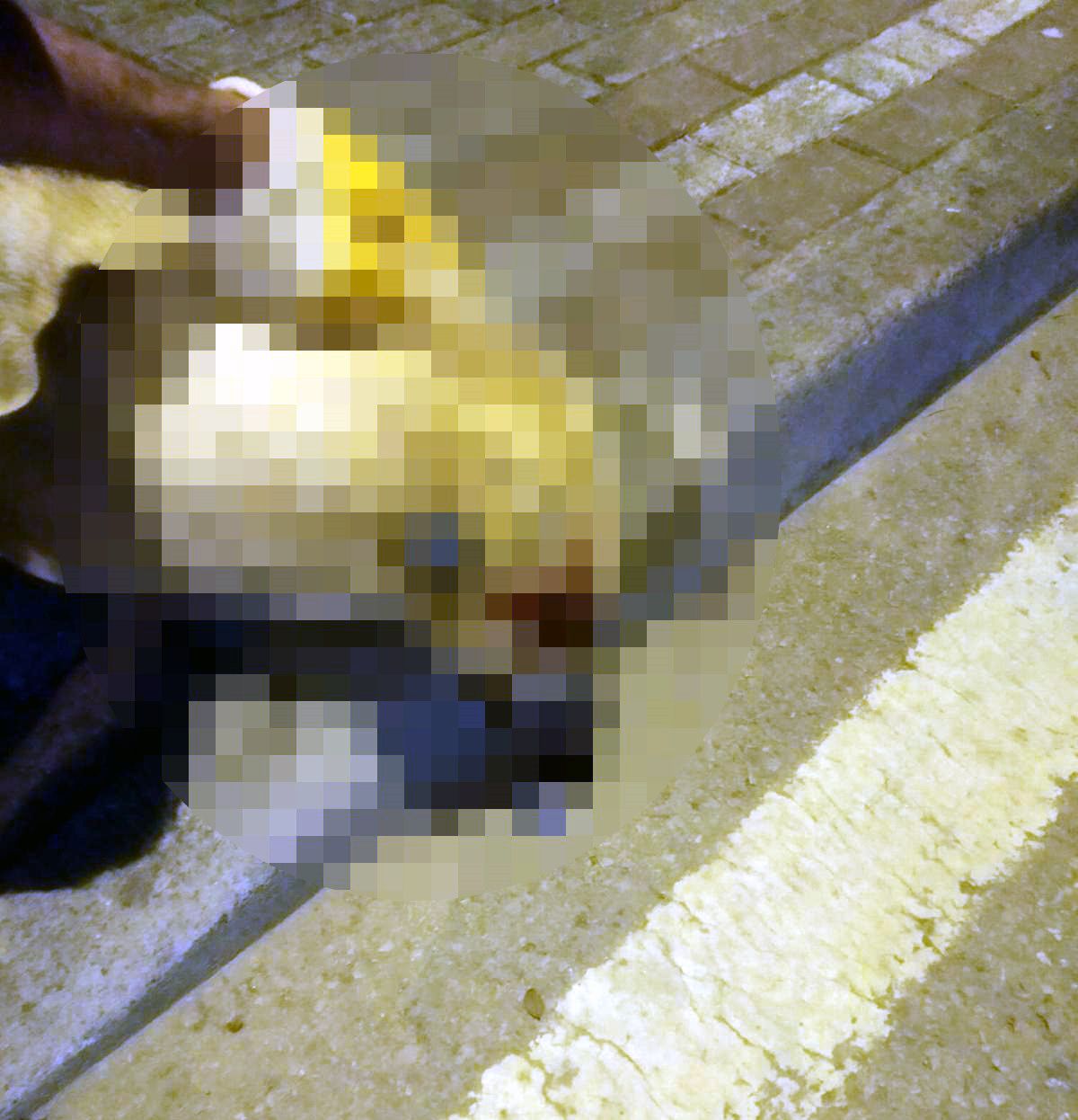 Köpek Öldürme Davasında İstinaf Kararı