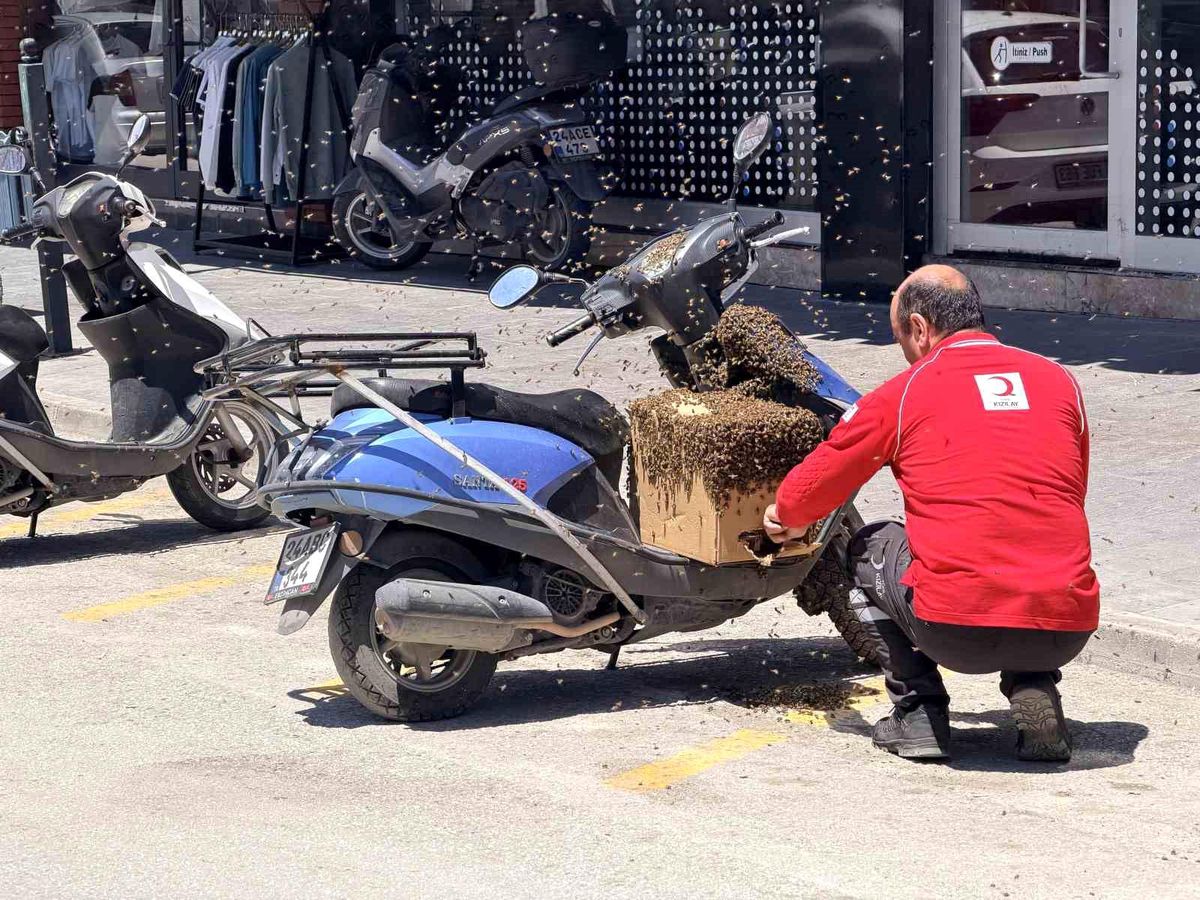 Erzincan\'da Bal Arıları Motosiklete Kondu
