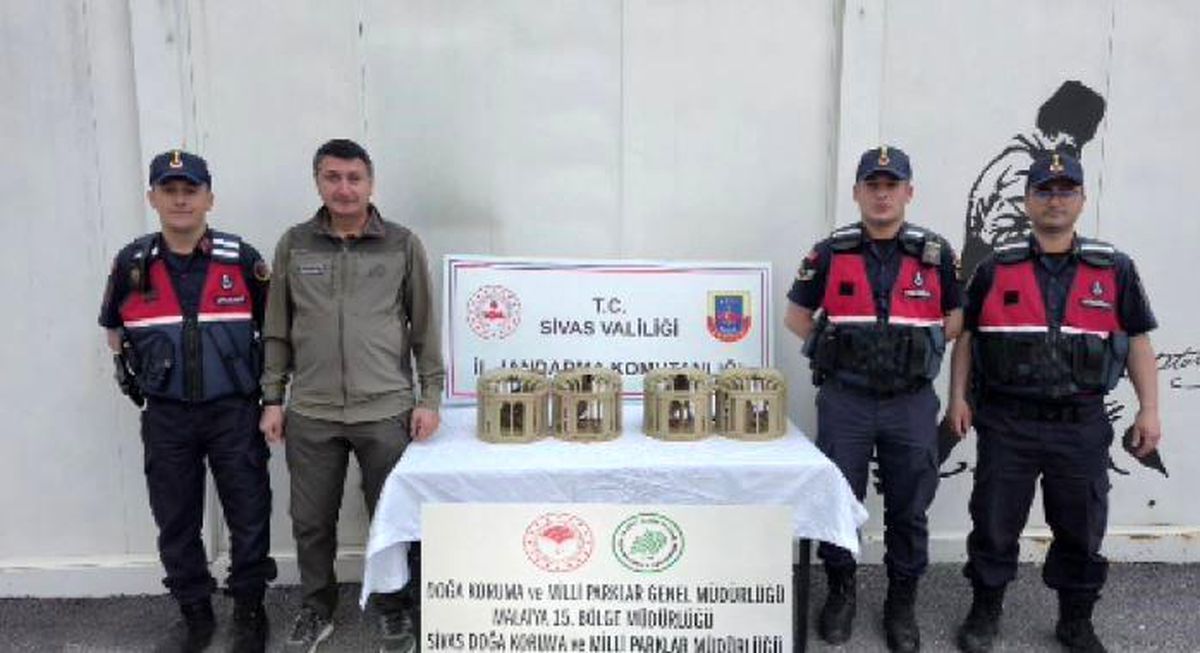 Kınalı Keklikler Doğaya Salındı