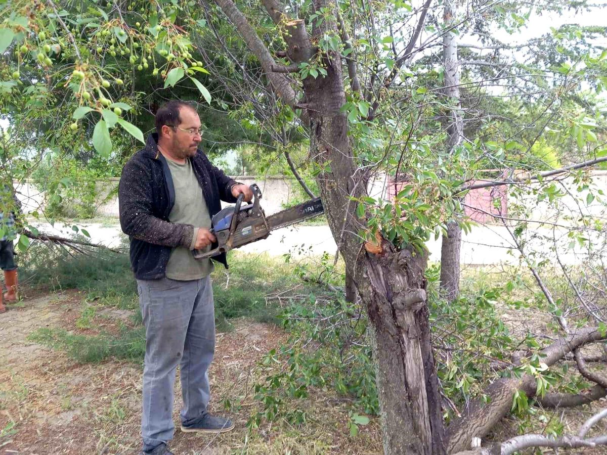 Yarımca Köyü\'nde Doğa Yenileniyor