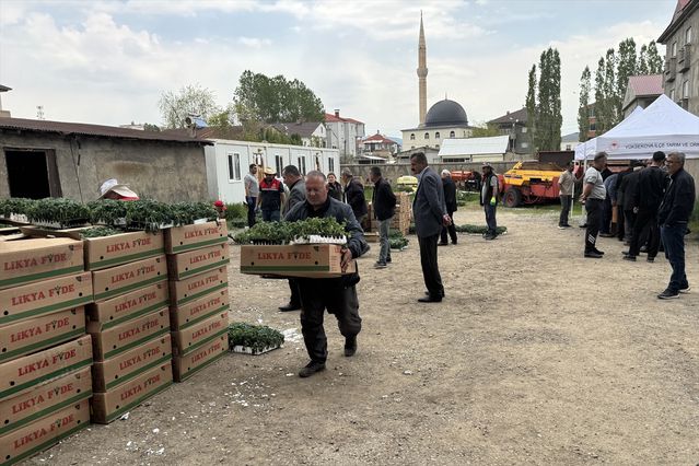 Yüksekova'da 155 Bin Sebze Fidesi Dağıtıldı