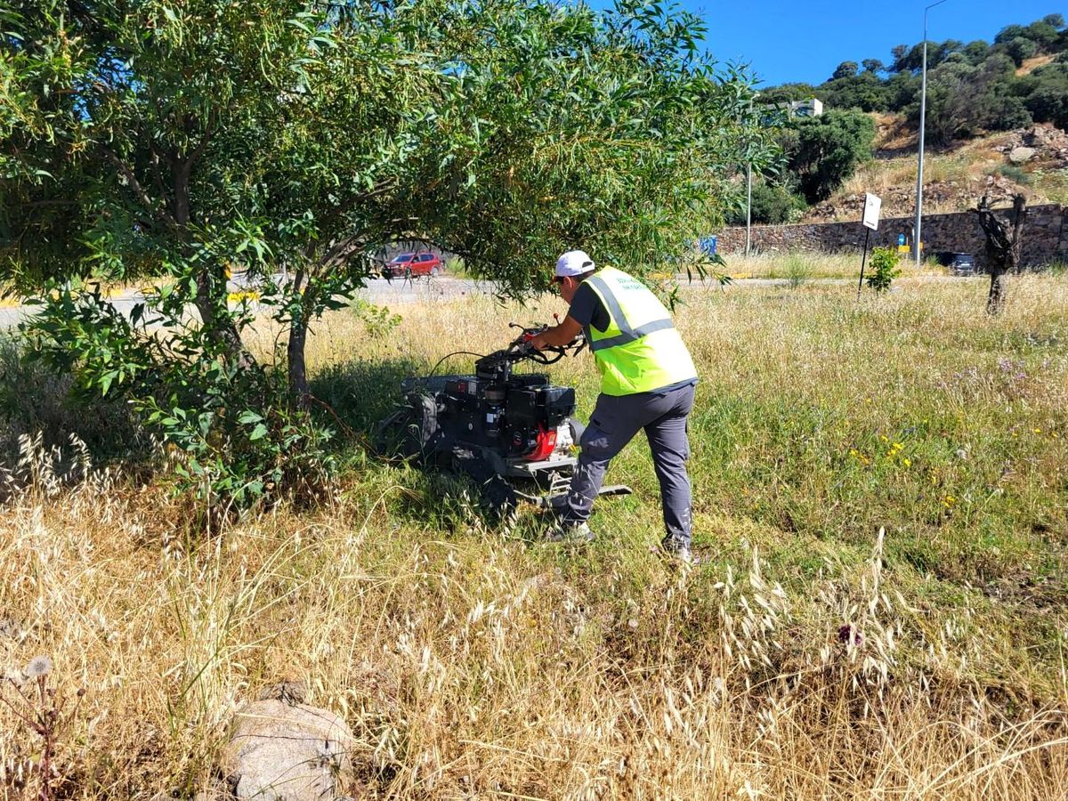 Bodrum\'da ot temizliği çalışmaları tüm hızıyla devam ediyor