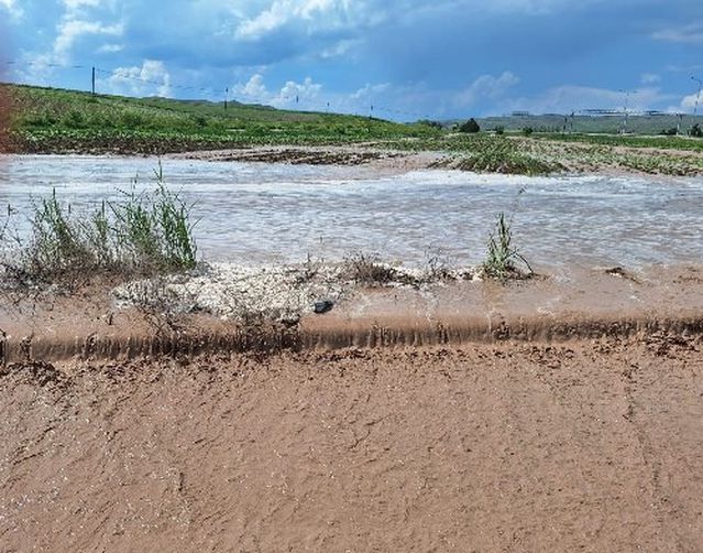 Alaca'da Sağanak Yağış Tarımı Vurdu