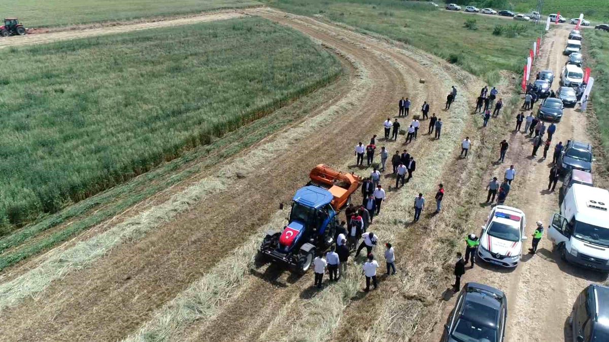 Edirne\'de Mera Çalışmalarıyla Hayvancılığa Destek