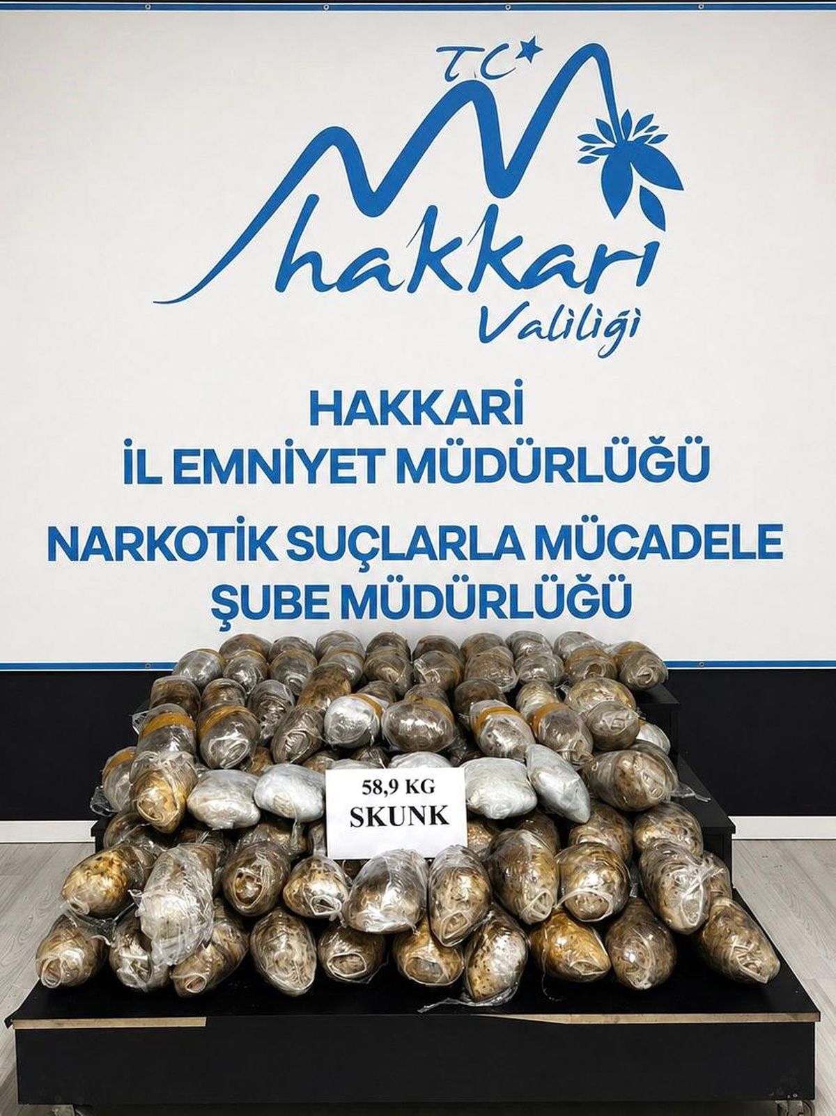 Hakkari\'de 58 kilo skunk maddesi ele geçirildi