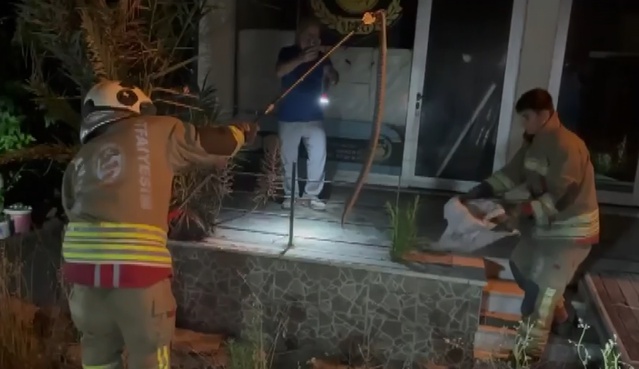 İskenderun’da Yılan Paniği