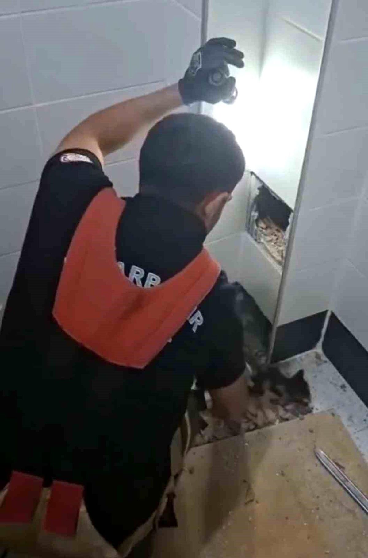 Diyarbakır\'da Mahsur Kalan Kedi Kurtarıldı
