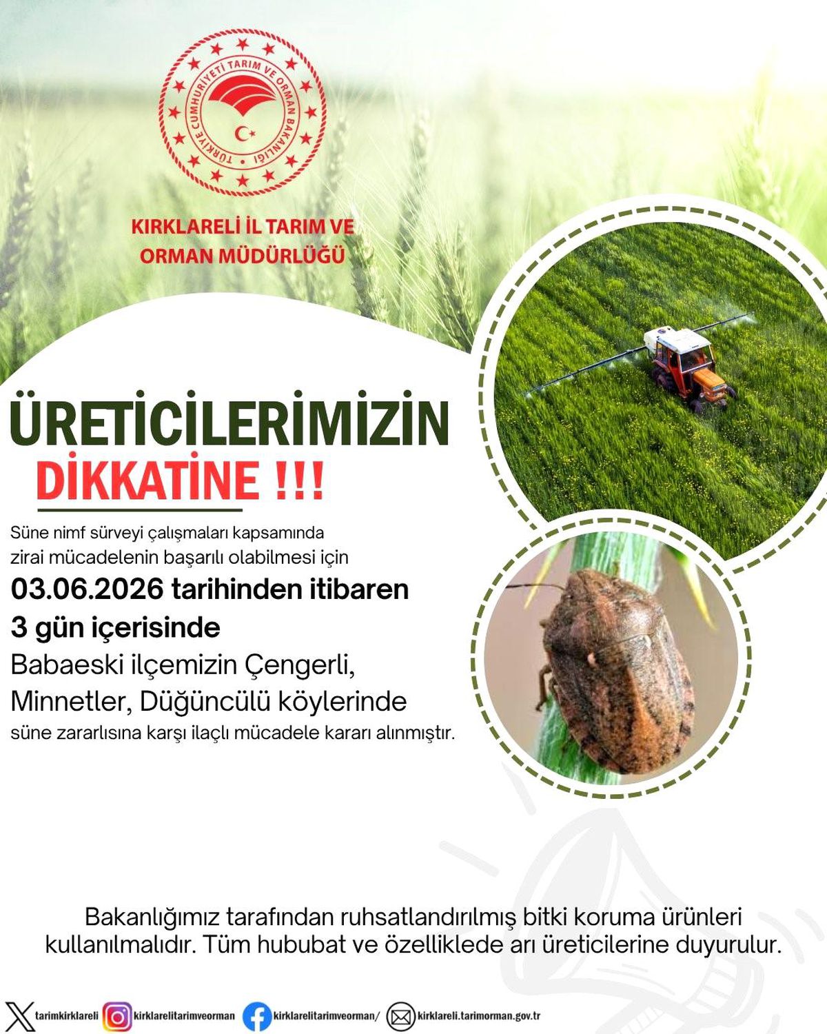 Kırklareli\'nde Süne Zararlısına İlaçlı Mücadele