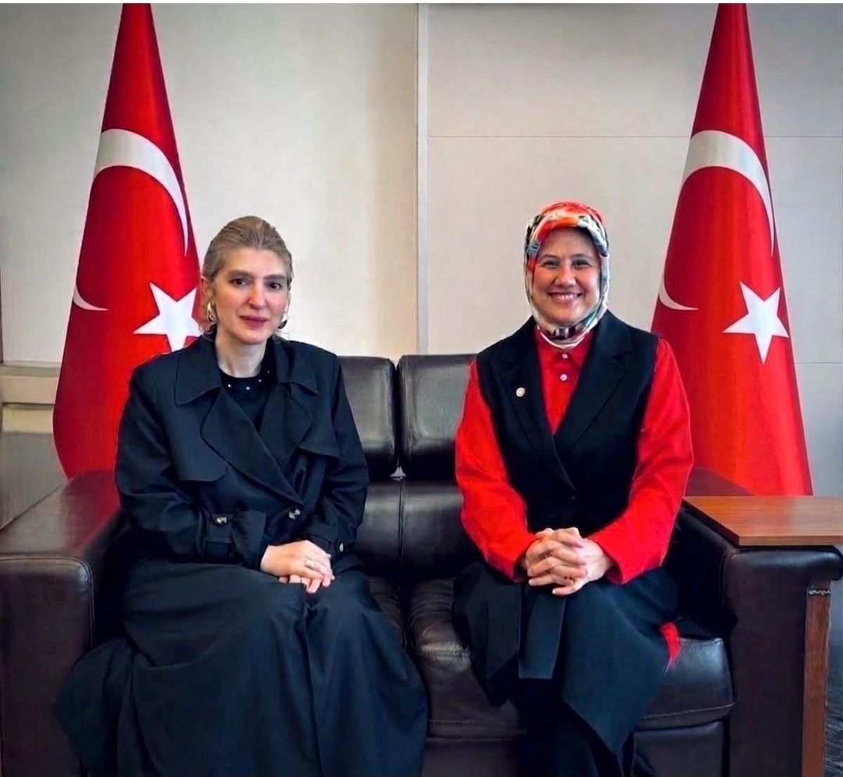 Malatya\'da Kızılay Projeleri Değerlendirildi