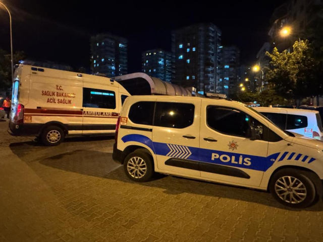 Şanlıurfa'da silahlı kavga! Anne hayatını kaybetti, oğlu yaralandı