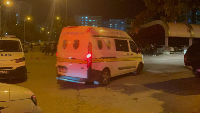 Şanlıurfa'da silahlı kavga! Anne hayatını kaybetti, oğlu yaralandı