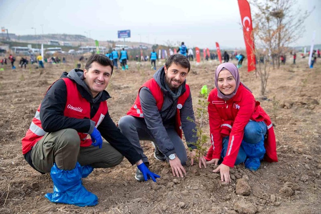Hastaya Kan, Ormana Can Projesi İlerlemede