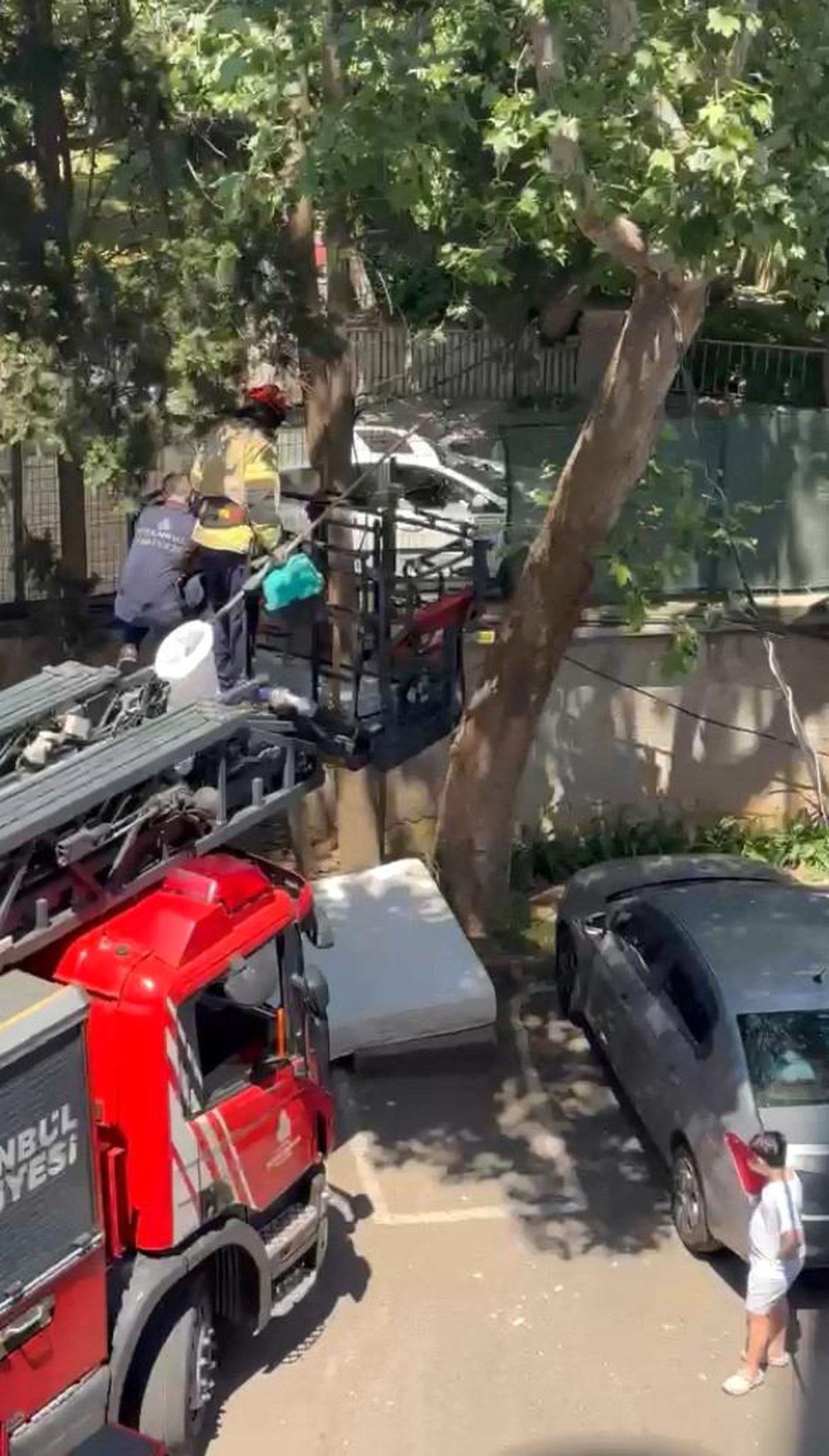 Kadıköy\'de Yavru Kedi Kurtarıldı