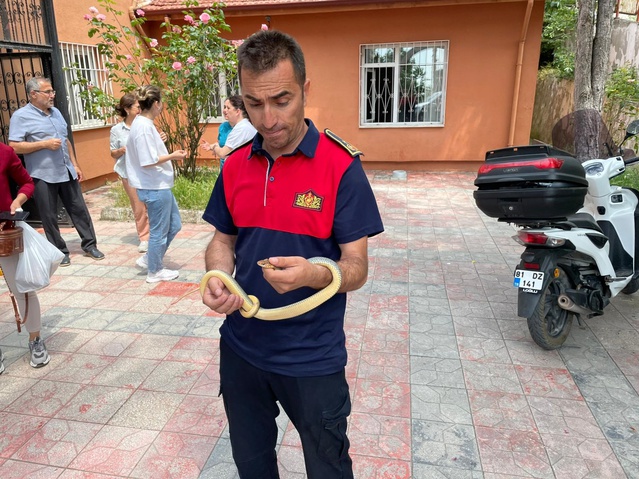 Aile Sağlığı Merkezi'nde Yılan Paniği