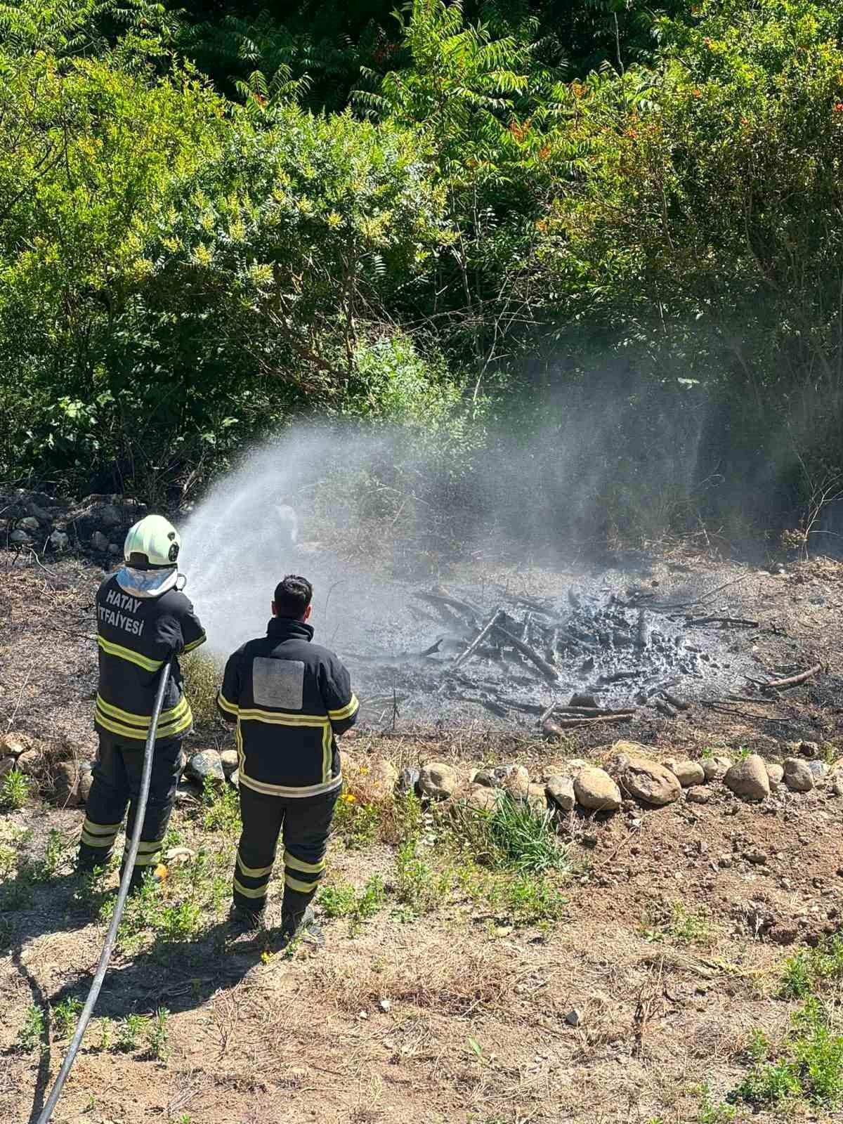 Antakya\'da Zeytinlikte Yangın Kontrol Altında