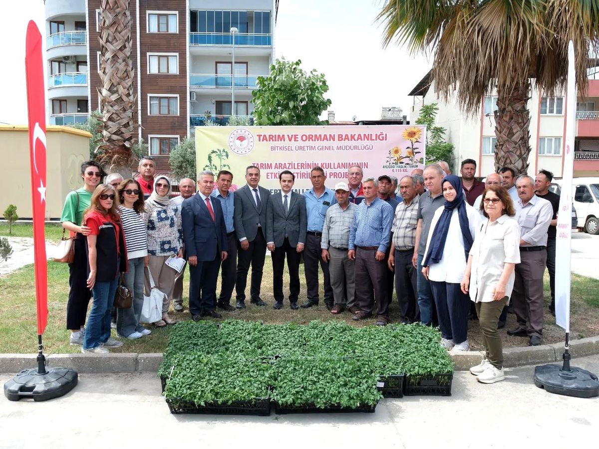 Aydın\'da Geççi Domates Fidesi Dağıtımı