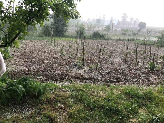 Bursa'da Dolu Tarım Arazilerini Vurdu