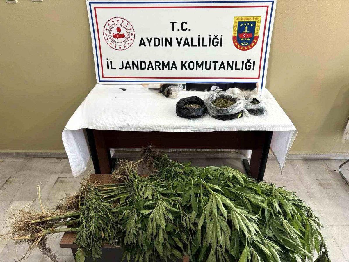 Aydın\'da Uyuşturucu Operasyonu: 1 Tutuklama