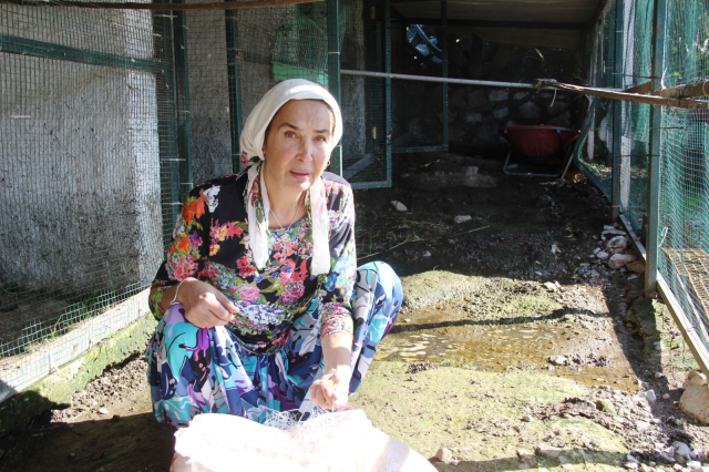 Eski manken Bilun Dohmen, <a class='keyword-sd' href='/ozgur-ozel/' title='Özgür Özel'>Özgür Özel</a>'e seçim otobüsü almak için Bodrum'daki evini satışa çıkardı